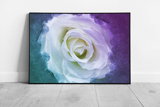 Abstract Colourful Delicate Soft White Rose Flower Watercolour Painting Style Artwork Wall Art Print on Paper Framed Picture print