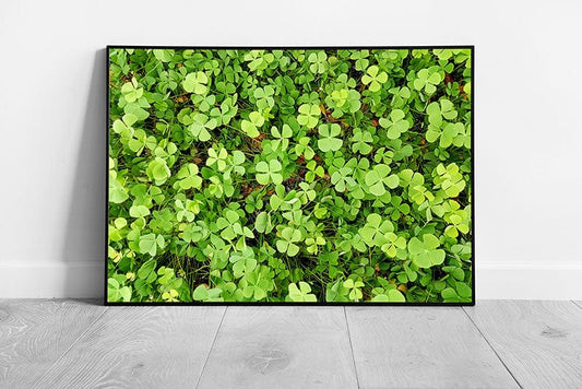 Abstract Close Up View Natural Grassy Leafy Vivid Green Clover Patch Photography Wall Art Print on Paper Framed Picture print