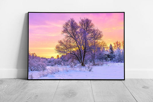 Early Morning Sun Rising Over Purple Toned Snow Covered Woodland Forest Seasonal Wall Art Print on Paper Framed Picture print