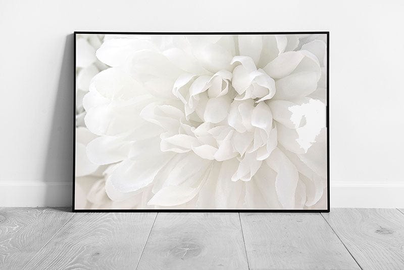 Beautiful Soft Delicate White Flower Petals Floral Photography Minimalist Abstract Wall Art Print on Paper Framed Picture print