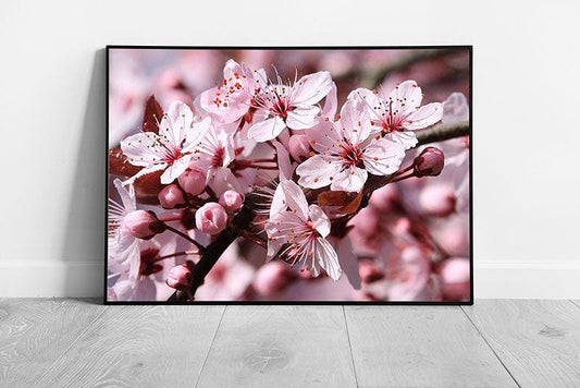 Print on Paper Pink Cherry Blossom Floral Wall Art Print Framed Picture print