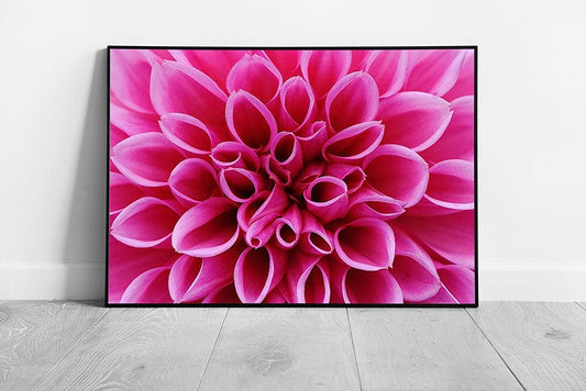 Print on Paper Pink Dahlia Flower Floral Print Wall Art Print Framed Picture print