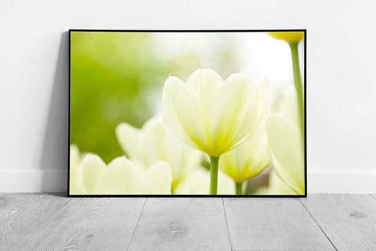 Print on Paper White & Green Flowers Wall Art Print Framed Picture print