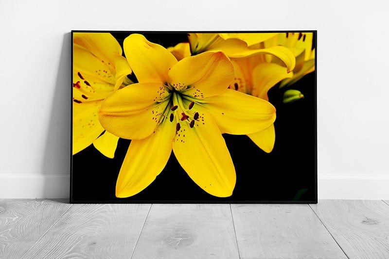 Print on Paper Yellow Lily Flowers Wall Art Ready To Hang Print Framed Picture print