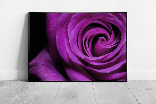 Print Purple Rose wall art Ready to Hang Print Framed Picture print