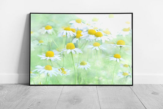 Wild Daisy flower art Ready to Hang Print Framed Picture print