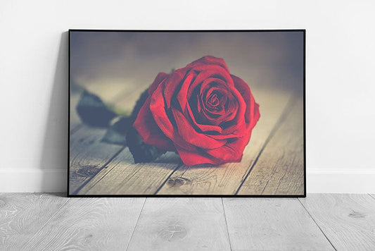 Print Single Red Rose wall art Ready to Hang Print Framed Picture print